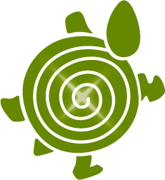 S_Reiki